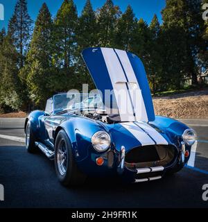 Placerville, Stati Uniti d'America - 25 novembre 2020: Classica auto muscolare americana rara, convertibile vintage blu 1967 Ford Shelby Cobra 427 Foto Stock