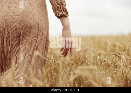 Le mani della donna l'agricoltore ha interessato la maturazione delle spighe di grano nel raccolto di inizio estate Foto Stock