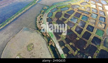 Anlong, Anlong, Cina. 7 Dic 2021. Il 6 dicembre, fotografia aerea di colorati stagni di loto nel Parco Nazionale delle paludi di Zhaodi nella Contea di Anlong, Prefettura Autonoma di Qianxinan Buyi e Miao, Provincia di Guizhou. Gli stagni di loto nel Parco Nazionale delle paludi di Zhaodi nella Contea di Anlong, Prefettura Autonoma di Qianxinan Buyi e Miao, Provincia di Guizhou, sono colorati e spettacolari. (Credit Image: © SIPA Asia via ZUMA Press Wire) Foto Stock