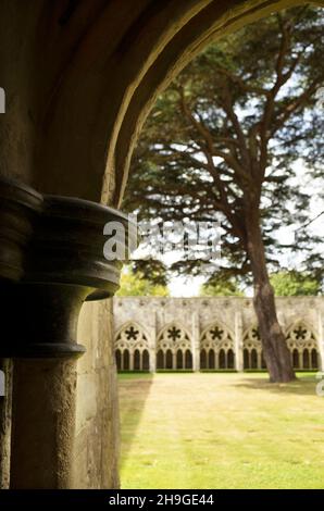 Vista dai chiostri della Cattedrale di Salisbury Wiltshire Inghilterra Regno Unito Foto Stock