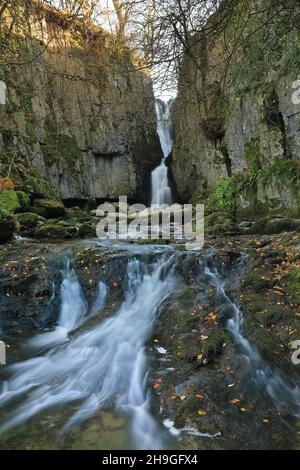 Cascate di Catrifgg Force, a pochi passi dal villaggio di Stainforth nel Parco Nazionale Yorkshire Dales, North Yorkshire, Regno Unito Foto Stock