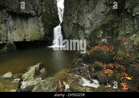 Cascate di Catrifgg Force, a pochi passi dal villaggio di Stainforth nel Parco Nazionale Yorkshire Dales, North Yorkshire, Regno Unito Foto Stock