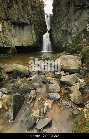 Cascate di Catrifgg Force, a pochi passi dal villaggio di Stainforth nel Parco Nazionale Yorkshire Dales, North Yorkshire, Regno Unito Foto Stock