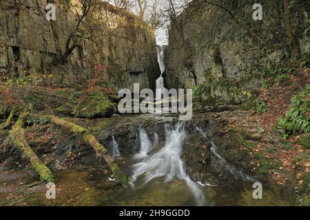 Cascate di Catrifgg Force, a pochi passi dal villaggio di Stainforth nel Parco Nazionale Yorkshire Dales, North Yorkshire, Regno Unito Foto Stock