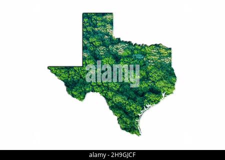 Green Forest Mappa del Texas, su sfondo bianco Foto Stock