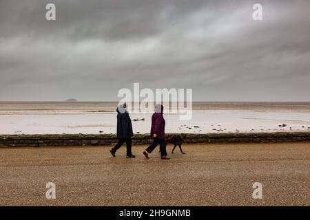 Weston-Super-Mare, Somerset, Regno Unito. 7 Dic 2021. Due persone camminano il loro cane lungo la passeggiata a Weston-Super-Mare in Somerset prima che Storm barra colpisce il sud-ovest del Regno Unito. Credit: Peter Lopeman/Alamy Live News Foto Stock