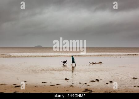 Weston-Super-Mare, Somerset, Regno Unito. 7 Dic 2021. Una donna cammina il suo cane lungo la spiaggia a Weston-Super-Mare in Somerset prima che Storm barra colpisce il sud-ovest del Regno Unito. Credit: Peter Lopeman/Alamy Live News Foto Stock