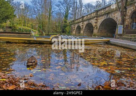 I puntini ormeggiati sul fiume Cherwell sotto il ponte Magdalen, con una femmina Mallard nel suolo. Oxford, Regno Unito. Novembre 2021. Foto Stock