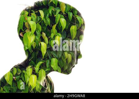 Combinazione isolata della silhouette di un viso del bambino e di un'immagine con foglie verdi. Concetto di connessione tra uomo e natura, cura di t Foto Stock