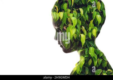 Combinazione isolata della silhouette di un viso del bambino e di un'immagine con foglie verdi. Concetto di connessione tra uomo e natura, cura di t Foto Stock