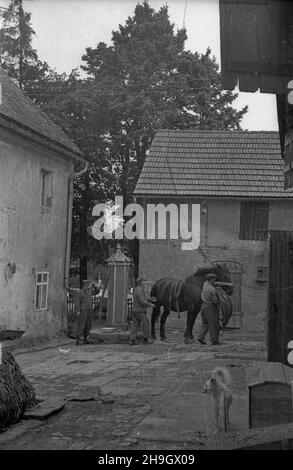 Zalipie, 1948-07. Wieœ której, l 1945 l osiedli³a siê czêœæ Platerówek r., tzn. ¿o³nierek 1 Samodzielnego Batalionu Kobiecego im. Emilii Plater 1 Dywizji Piechoty im. Tadeusza Koœciuszki. Do 1947 r. wieœ nosi³a nazwê Platerowo. bb PAP Dok³adny dzieñ wydarzenia nieustalony. Zalipie, luglio 1948. Il villaggio in cui si stabilì un certo numero di donne soldato del primo Battaglione indipendente delle Donne della Tadeusz Kosciuszko i Divisione di Fanteria. Fino al 1947 il villaggio è stato chiamato Platerowo. bb PAP Foto Stock