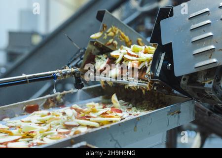 Affettato mele su un nastro trasportatore in un impianto di lavorazione degli alimenti. Frutta sana, produzione alimentare e concetto automatizzato di industria alimentare. Foto Stock
