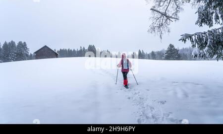 Bella donna anziana racchette da neve in forte caduta in una foresta invernale e paesaggio di fossato nella zona di Bergenzer Wald di Vorarlberg, Austria Foto Stock