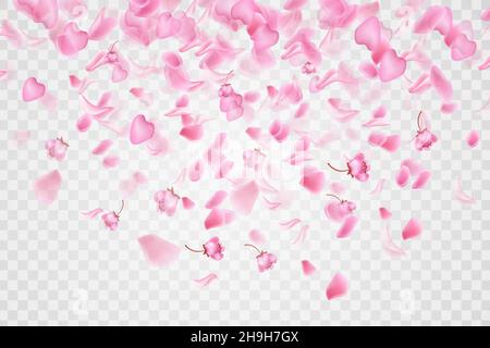 Natura orizzontale background.Pink cadere sakura petali e fiori. Illustrazione Vettoriale