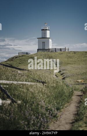Scatto verticale di un faro sull'isola di San Juan durante la luce del giorno Foto Stock