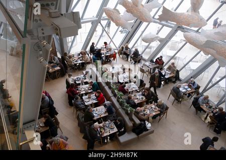 Una vista aerea del caffè in Fondazione Louis Vuitoon, Parigi, Francia Foto Stock