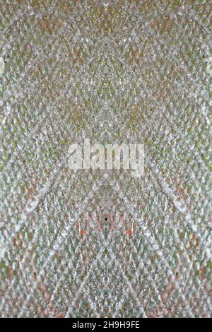 Tela doppia asciugata vernice spaccata primo piano sfondo di alta qualità grande formato stampa Foto Stock
