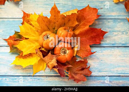 Autunno ancora vita . Foglie di acero caduto e zucche d'arancia su sfondo blu di legno. Raccolta autunnale. Foto Stock