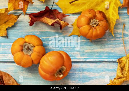 Autunno ancora vita . Foglie di acero caduto e zucche d'arancia su sfondo blu di legno. Raccolta autunnale. Foto Stock