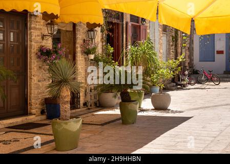 Ingresso ad un tipico edificio greco decorato con piante sull'isola di Symi. Grecia Foto Stock