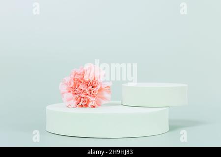 Podio primaverile per modello di presentazione prodotto dalle forme rotonde e fiore rosa fresco su sfondo verde pastello con spazio vuoto Foto Stock