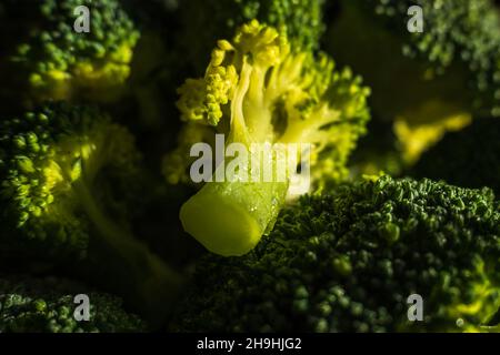 Broccoli verdi congelati su fondo scuro closup Foto Stock