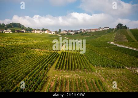 Cramant (Francia settentrionale): Vista aerea dei vigneti di Champagne e il villaggio nel cuore della “Cote des Blancs”, una zona di vigneti Champagne Foto Stock