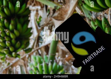 Rheinbach, Germania 1 ottobre 2021, il logo del marchio 'Fairtrade' sul display di uno smartphone di fronte a una piantagione di banane Foto Stock