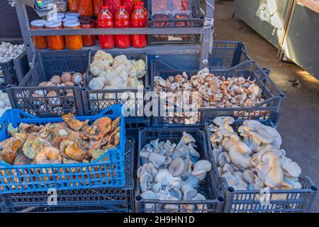 Funghi commestibili funghi in Crate al mercato agricolo Foto Stock