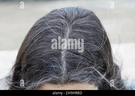 Primo piano della parte superiore di una testa di una donna i cui capelli sono graffiti. Foto Stock