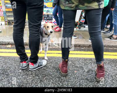 Scene di un giorno piovoso mercato di Portobello a Londra. Data foto: Sabato 22 settembre 2018. Il credito fotografico dovrebbe essere: Richard Grey/EMPICS Entertainment Foto Stock