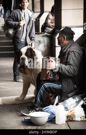 Londra, settembre 2021. Uomo seduto per strada che suona la fisarmonica, con il suo cane San Bernardo Foto Stock