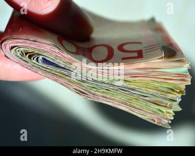 Primo piano di una mano umana che detiene la valuta svedese Foto Stock