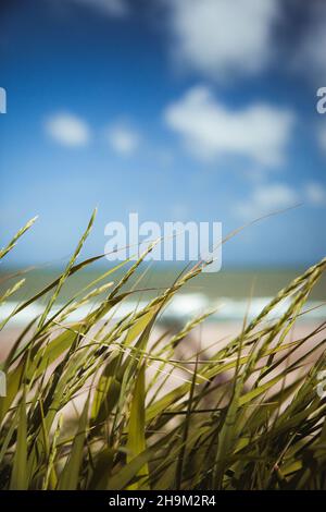 Spiaggia in Olanda Foto Stock