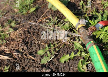 Due tubi da giardino Uniti con una vecchia valvola di chiusura arrugginita, provoca una perdita Foto Stock