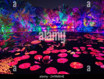 Johnsonville Night Lights in the Garden Natale 2021 al Giardino Botanico di Napoli Florida USA Foto Stock