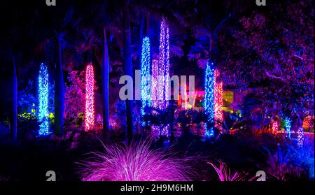 Johnsonville Night Lights in the Garden Natale 2021 al Giardino Botanico di Napoli Florida USA Foto Stock