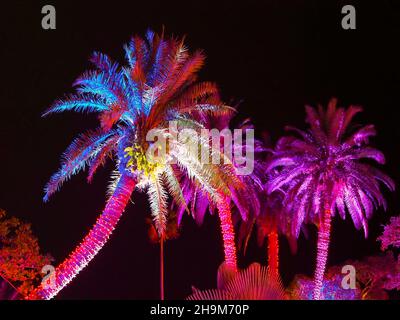 Johnsonville Night Lights in the Garden Natale 2021 al Giardino Botanico di Napoli Florida USA Foto Stock