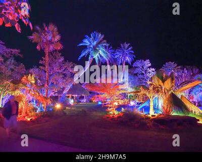 Johnsonville Night Lights in the Garden Natale 2021 al Giardino Botanico di Napoli Florida USA Foto Stock