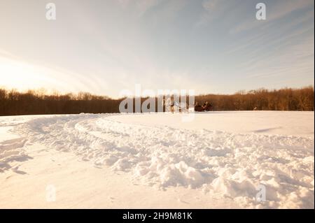 Winter Sleigh Ride, Allegra Farm, East Haddam, Connecticut, Stati Uniti Foto Stock