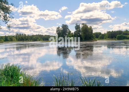 Paesaggio estivo sul lago boschivo, Podlasie, Polonia. Riflesso di alberi e cielo blu con nuvole bianche nell'acqua. Viaggi e attività ricreative all'aperto. Foto Stock