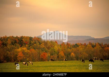 Vista autunnale di Camel's Hump dalla Route 7, Charlotte, Vermont, USA Foto Stock