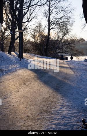 Percorso a piedi nella baia di Stoccolma in una gelida giornata invernale con acqua fumante, albero di betulla di fronte e accogliente luce solare. Periodo invernale nella capitale della Svezia Foto Stock