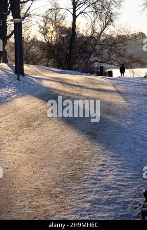 Percorso a piedi nella baia di Stoccolma in una gelida giornata invernale con acqua fumante, albero di betulla di fronte e accogliente luce solare. Periodo invernale nella capitale della Svezia Foto Stock