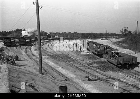 Szczecin, 1948-10. Teren budowy stacji rozrz¹dowej, naprzeciwko budowy portu prze³adunków masowych, po prawej stronie od ul. Czajkowskiego. Têdy bêd¹ jeŸdziæ wagony z wêglem ze Œl¹ska. NZ. Utwardzanie nawierzchni kolejowej. mw PAP Dok³adny dzieñ wydarzenia nieustalony. Szczecin, ottobre 1948. Il cantiere di un cantiere di marchalling si trova di fronte al cantiere del porto di ricarico del carico, sul lato destro di via Czajkowskiego. Il percorso dei treni cargo con carbone dalla Slesia. Nella foto: L'indurimento della superficie per binari ferroviari. mw PAP Foto Stock