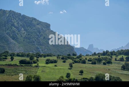 Coltivazioni e pascoli nei dintorni del villaggio di Las Arenas de Cabrales, Asturias, Spagna, con il Naranjo de Bulnes dei Picos de EUR Foto Stock