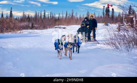 Churchill, Manitoba - 26 febbraio 2014. Turisti e un musher che cavalcano su una slitta tradizionale del cane che è tirato da una squadra di sei Husky che indossa le giacche. Foto Stock