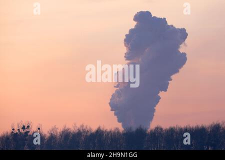 Vapore dalla fabbrica all'alba in inverno . Foto Stock