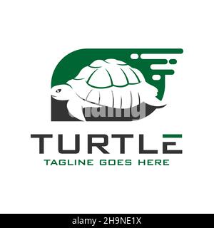 modello con logo turtle Foto Stock