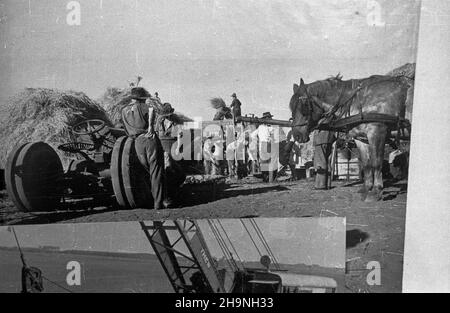 Warszawa, 1948-11-22. Uroczystoœæ powojennego wznowienia dzia³alnoœci Instytutu Wêgierskiego (powsta³ego w 1935 r.), przy ul. Marsza³kowskiej. NZ. Wystawa propagandowa przedstawiaj¹ca komunistyczne Wêgry. bk PAP Varsavia, 22 novembre 1948. La cerimonia della ripresa delle attività dell'Istituto Ungherese dopo il WW2 (aperta nel 1935), in via Marszalkowska. Nella foto: Una mostra di propaganda dedicata al comunista Ungheria bk PAP Foto Stock